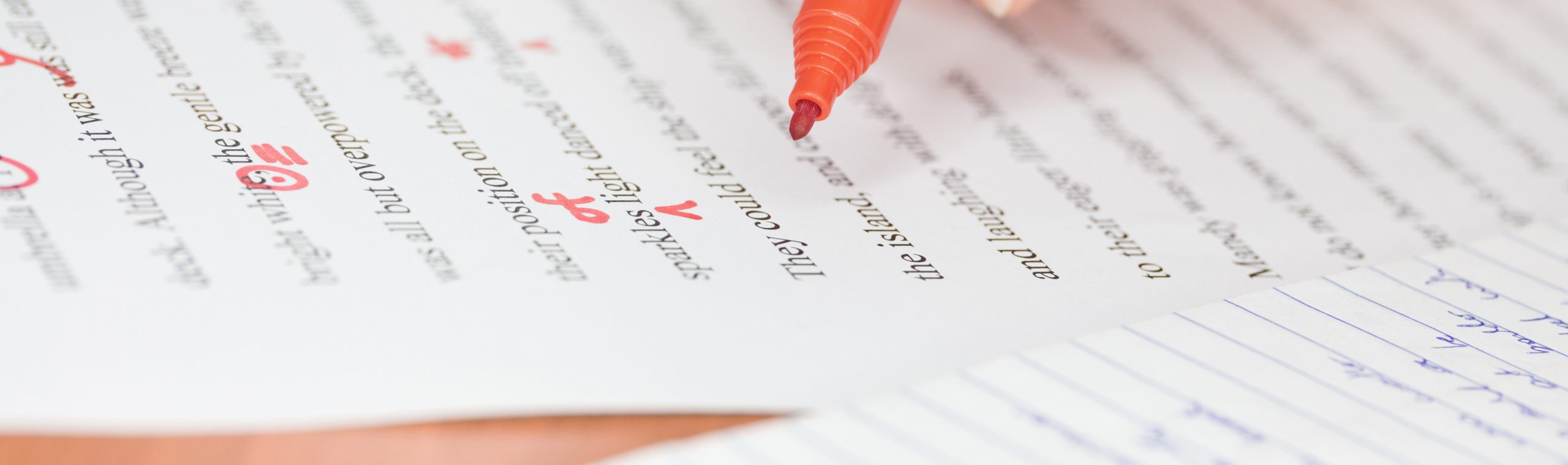 Transcription Services